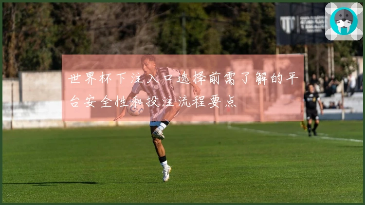 世界杯下注入口选择前需了解的平台安全性和投注流程要点