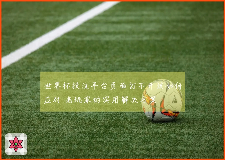 世界杯投注平台页面打不开该如何应对 老玩家的实用解决方案
